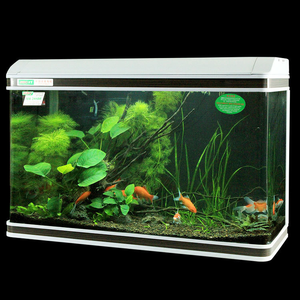 מותאם אישית גדול טנקי דגים ברור זכוכית LED תאורה חימוש טנקי סינון מלא מערכת אקווריום - Product Image 6