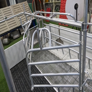 Cage de mise bas bien-être pour porcs - Product Image 3