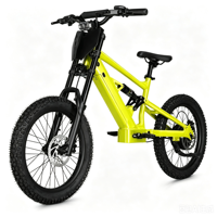 Bicicleta Eléctrica de Equilibrio para Niños de 20 Pulgadas, 48V, 6.0AH, 1000W, Diseño sin Escobillas, Sensor Inteligente, Aleación de Aluminio y Litio