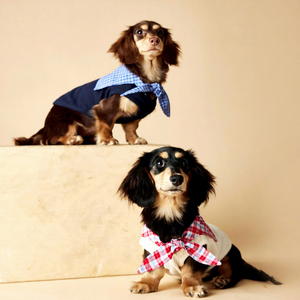 Vêtements pour chien Printemps-Été, Gilet sans manches à col marine pour Teddy, <span class=keywords><strong>Schnauzer</strong></span>, Bichon Frisé, Yorkshire, <span class=keywords><strong>Teckel</strong></span> - Product Image 2