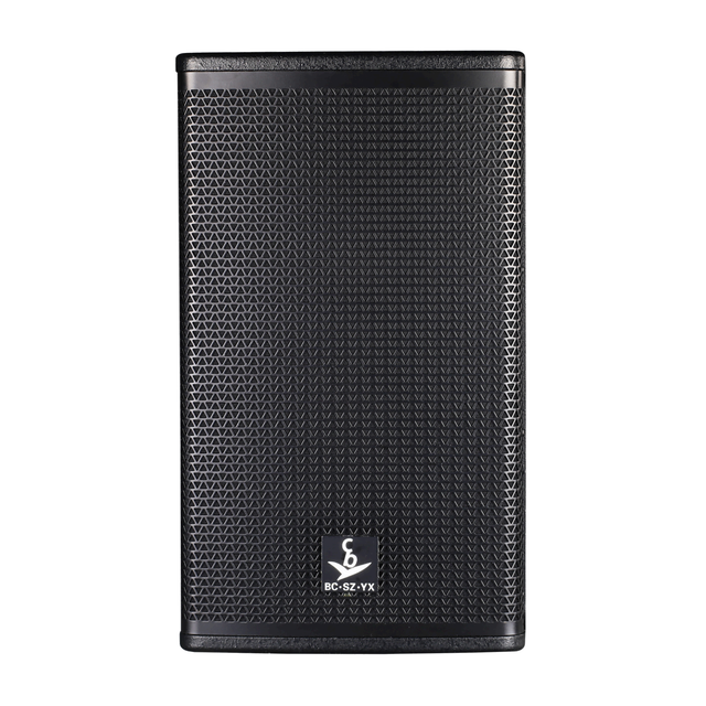 300W 12 Inch Full-Range Professional Speaker for KTV Conference Rooms Lounges Private Booths Home Use