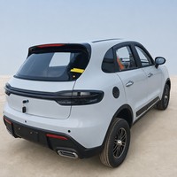 SUV Eléctrico de Lujo con Interior de Primera Clase, Mini EV Hatchback de 5 Plazas, Automático, con Batería de Litio, Vehículo Urbano para Pasajeros