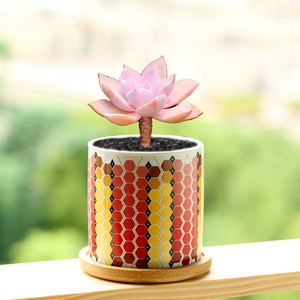 Pot de fleurs pastoral pour plantes succulentes, fleurs, pot en céramique simple pour intérieur, bureau, balcon, bureau, avec trous pour la ventilation - Product Image 5