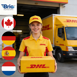 ตัวแทนจัดส่งที่ได้รับการรับรองจาก USPS และ FedEx ราคาประหยัด รับบริการ FBA Prep LCL+Express Dropshipping และบริการขนส่งทางอากาศด่วน - Product Image 2