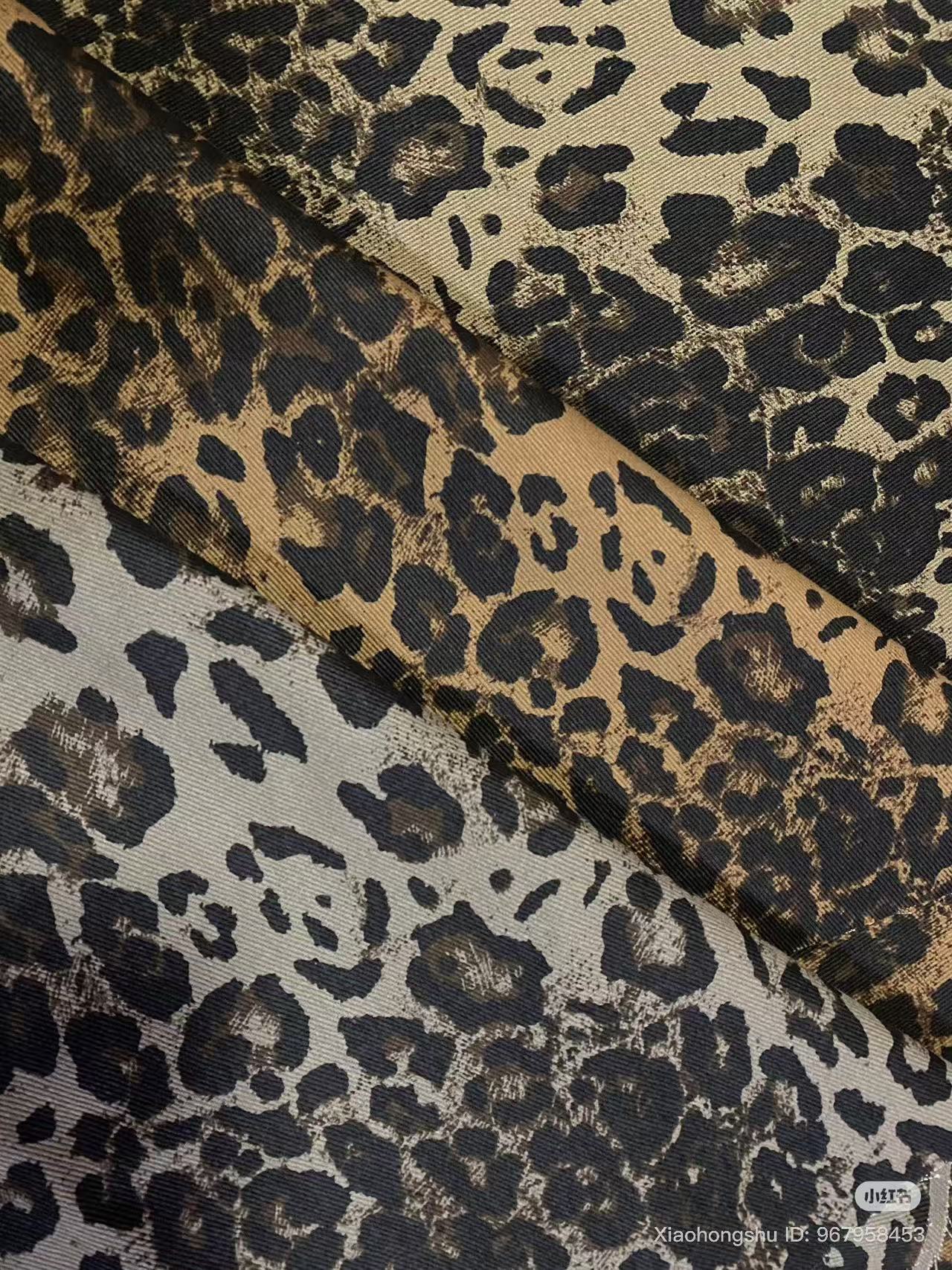 Leopardo