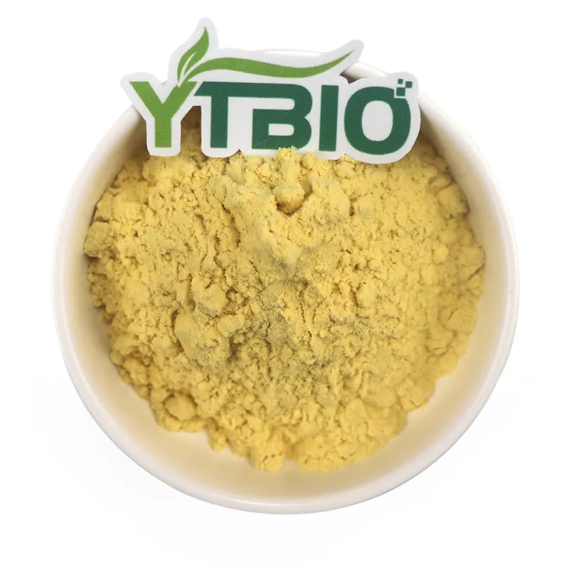 YTBIO-polvo fino de Kaempferol 98%, Natural, amarillo pálido, extracto de alta calidad