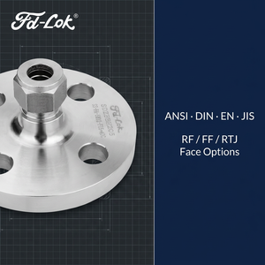 Adaptateur de <span class=keywords><strong>raccord</strong></span> de tube ANSI en acier inoxydable poli de haute qualité, forgé, RF RTJ, connecte diverses tailles disponibles, 316ss haute qualité - Product Image 2