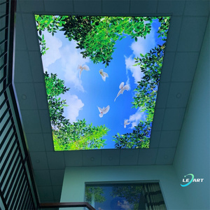 Proyecto Fácil Instalación Decoración del hogar Construcción Led <span class=keywords><strong>Cielo</strong></span> Suspendido Azulejos de techo falso - Product Image 4