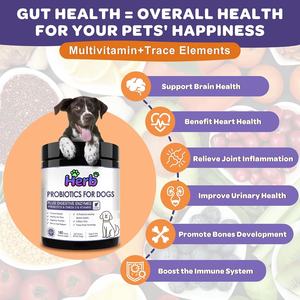 โปรไบโอติกสำหรับสุนัขแบบ OEM ODM สูตรเฉพาะ พร้อมพรีไบโอติก ช่วยเสริมสร้างจุลินทรีย์ในลำไส้ให้สมดุล เพิ่มภูมิคุ้มกัน ชนิดเคี้ยวเนื้อนุ่ม - Product Image 6