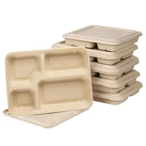 100% compostables 5 compartimento placas respetuoso del medio ambiente de la caña de azúcar de 10 pulgadas de bagazo de la bandeja del almuerzo