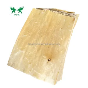 越南制造商出口到中国的100% 桦木原芯单板，质量高，价格有竞争力