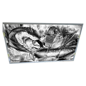 Écran LCD économique et performant LM270WQ3-SLD1 27,0 pouces 2560*1440 60Hz - Product Image 1