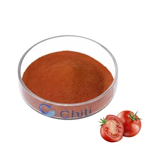 Chiti 100% 토마토 분말 비 GMO 토마토 주스 농축액 분말 스무디 베이킹 토마토 안토시아닌 인스턴트 파우더