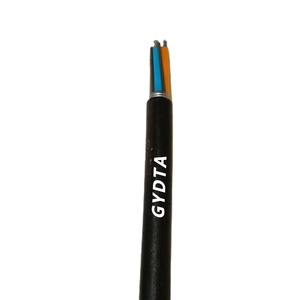 GYDTA/GYDTS/GYDXTW带96/144/288芯室外单模光纤电缆 - Product Image 1