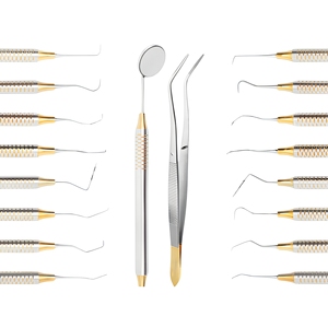 Kit Profesional de Herramientas para Higienista Dental, 10 Piezas, Acero Inoxidable, Set de Examen y Profilaxis, Proveedor Mayorista - Product Image 2