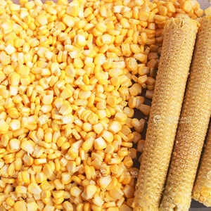 Máquina Desgranadora de Maíz Dulce Comercial Fengxiang MZ-368 con Motor de Alta Productividad, Capacidad de 1500-2000 kg/h - Product Image 6