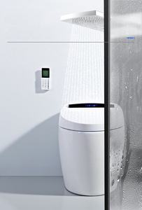 <span class=keywords><strong>WC</strong></span> intelligents, accessoires noirs, cuvette Toto, siège de toilette, commode dorée, <span class=keywords><strong>Geberit</strong></span> - Product Image 6