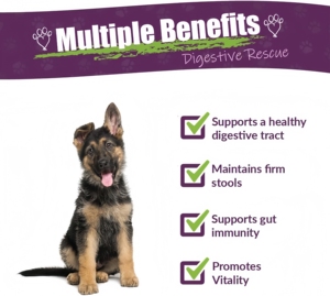 Líquido Digestivo de <span class=keywords><strong>Rescate</strong></span> para Perros y Cachorros 1oz, Apoya el Apetito, el Tracto Intestinal y la Defecación Firme, Alivia las Disturbancias Estomacales y el Cambio de Alimentación, Marca Privada - Product Image 2