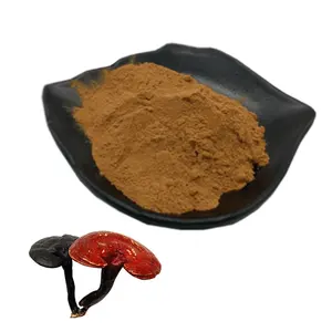 Etiqueta Pribate Extracto de hongo Reishi Extracto de Ganoderma lucidum Extracto de Reishi 30% Beta Glucano