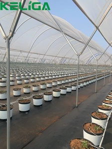 Cereza/UVA/arándano Plantación Cobertizo Película plástica Invernadero Plantación Túnel alto Refugio de lluvia Invernadero - Product Image 3