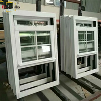 Puerta corredera Vertical de vidrio de rejilla de vinilo de PVC de estilo americano europeo y ventana de marco de doble suspensión UPVC de eficiencia energética