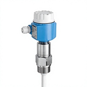 Instrument de mesure de niveau capacitif série FMI E+H Endress+Hauser, instrument de mesure d'interface, original, industriel, fabriqué en Chine - Product Image 5