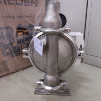 Bomba de Diafragma Wilden de Acero Inoxidable P4/SSAPP/TNU/TF/STF/0014