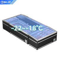 Congelador Horizontal, Refrigerador de Baja Temperatura con Enfriamiento por Aire para Tiendas de Conveniencia, Venta al por Mayor, Marca Privada