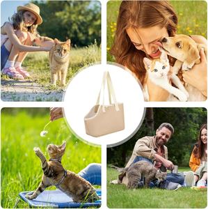 Durable En Plein Air Pet <span class=keywords><strong>Voyage</strong></span> Sac Portable Fermeture À Glissière Chat Transporteurs Respirant Sac À Dos Chaud D'été <span class=keywords><strong>Voyage</strong></span> Compagnon Solide - Product Image 2