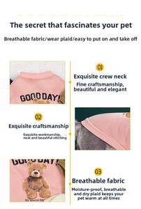 Herfst Winter Schattige beer Cartoon printstijl Kostuum Dun fluwelen sweatshirt Bichon Hond Kat Teddy Huisdierkleding Outfits <span class=keywords><strong>Chihuahua</strong></span> - Product Image 4