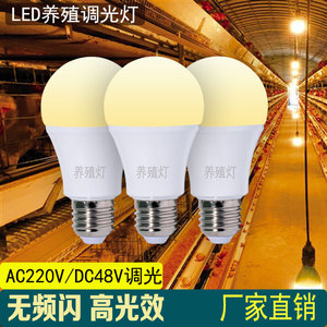 หลอดไฟ LED สำหรับสัตว์ปีก ขั้ว E27 7W 9W แสงวอร์ม ปรับความสว่างได้ สำหรับฟาร์มไก่และเป็ด - Product Image 3
