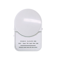 Compteur d'eau intelligent à commande de vanne ultrasonique RS485 avec protocole Modbus pour facturation prépayée et coupure à distance pour système AMR