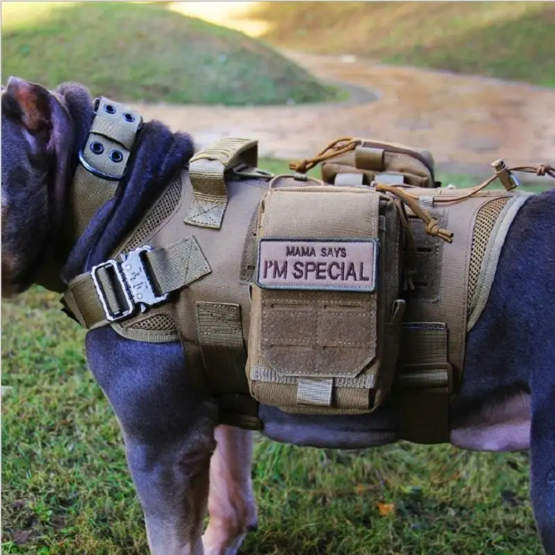 Fabriek Levering Hoge Kwaliteit Aangepaste Outdoor Tactische Hondentraining Harnas Hond Training Vest