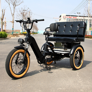 <span class=keywords><strong>Vélo</strong></span> cargo à 3 roues pour adultes, tricycle familial, tricycle à pédales assistées, Bajaj 3 roues, <span class=keywords><strong>vélo</strong></span> de location pour passagers, pédicabs - Product Image 2