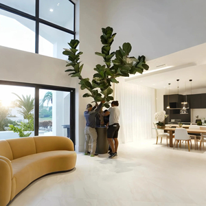 3M cây nhân tạo trong nhà chậu cây nhân tạo cây fiddle lá vả cây ficus lyrata thân thiện với môi - Product Image 4