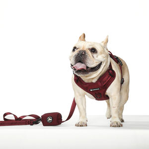 <span class=keywords><strong>Harness</strong></span> Anjing Custom Model Heavy Duty Bermotif, Tanpa Tarikan, Dapat Disesuaikan, dengan Klip Depan, Set Tali, Bantalan Jala Lembut, dan Logo Merek - Product Image 3
