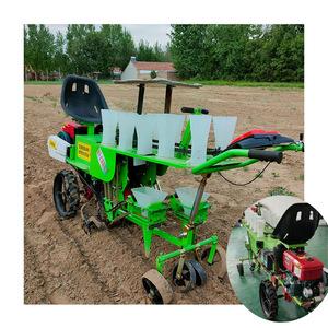 Nouveau modèle 2024 transplanteur de semis de tomates automoteur pour la machine de repiquage d'aubergines à rendement agricole moderne - Product Image 3