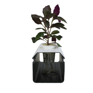 Sistema de Cultivo Hidropónico LANTAN NFT, Materiales de PVC, Negro y Blanco, Equipo de <span class=keywords><strong>Riego</strong></span>, Cultivo de Vegetales, Ecológico, Garantía de 5 Años - Product Image 3
