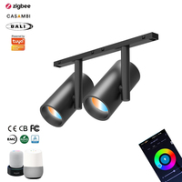 Nouvelle conception de rail lumineux magnétique à double tête, éclairage modulaire flexible, Zigbee Tuya, éclairage magnétique intelligent à intensité variable pour hôtel