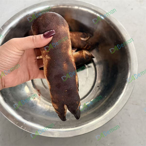 Potente Máquina <span class=keywords><strong>de</strong></span> Depilación <span class=keywords><strong>de</strong></span> Pezuñas para Ganado, Máquina <span class=keywords><strong>de</strong></span> Quemado <span class=keywords><strong>de</strong></span> Pelo <span class=keywords><strong>de</strong></span> Patas <span class=keywords><strong>de</strong></span> <span class=keywords><strong>Vaca</strong></span>, Máquina <span class=keywords><strong>de</strong></span> Quemado <span class=keywords><strong>de</strong></span> Pelo <span class=keywords><strong>de</strong></span> <span class=keywords><strong>Cabeza</strong></span> <span class=keywords><strong>de</strong></span> Oveja - Product Image 6