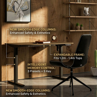 Meubles de bureau ergonomiques intelligents pour la maison, bureau électrique à hauteur réglable, cadre de bureau motorisé pour travailler assis ou debout, table réglable en hauteur
