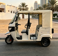 Véhicule Taxi Électrique à Trois Roues Conforme CEE, Expédition SKD, Moteur Magnétique en Acier 4000W pour Importation et Approvisionnement de Gros Volume