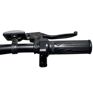 Bicicleta Plegable Premium para Mujer de 14 Pulgadas, Cuadro de Acero, Motor sin Escobillas de 250/500W en el Buje Delantero, Batería de Litio con Autonomía de 60 km, Certificación CE ISO - Product Image 5
