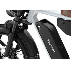 VELOPR M9 Vélo de montagne électrique à double batterie au lithium, freins hydrauliques, vélo électrique tout-terrain, 250W 48V35Ah Ebike - Product Image 4