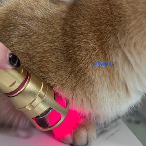 <span class=keywords><strong>Appareil</strong></span> laser de physiothérapie pour l'entraînement sportif, haute puissance, soulagement de la douleur corporelle et élimination des douleurs articulaires - Product Image 2