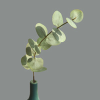 Feuilles d'eucalyptus artificielles à tige unique, aspect naturel, pour arrangements floraux de Noël et de la Saint-Valentin – Vente chaude