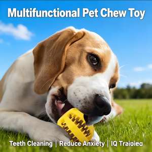 Popolari giocattoli interattivi per animali domestici da masticare cani gatti resistenti ai denti puliti per animali domestici per cani che giocano a palla Pet Ball - Product Image 2