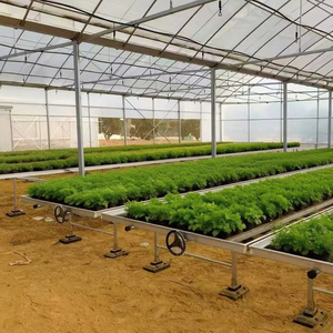 Lit mobile de culture de légumes <span class=keywords><strong>sur</strong></span> roulettes avec <span class=keywords><strong>pieds</strong></span> réglables pour l'agriculture de contour - Product Image 2