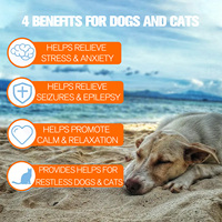 Vente chaude huile de chanvre bio pour animaux de compagnie pour le soulagement de la douleur allergie immunité séparation anxiété chien chat supplément gouttes