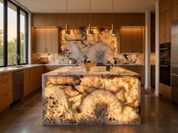 Dalles de pierre en quartzite Patagonia Pandora blanc translucide naturel de luxe pour comptoir de réception, dessus de table, carreaux muraux
